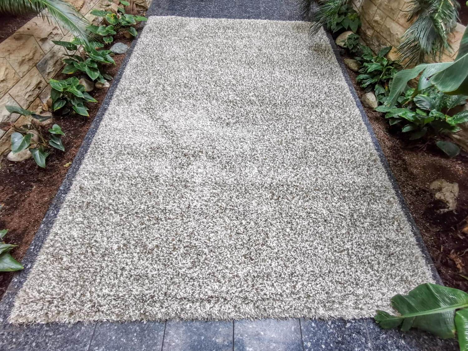 Limelight 22001-6600