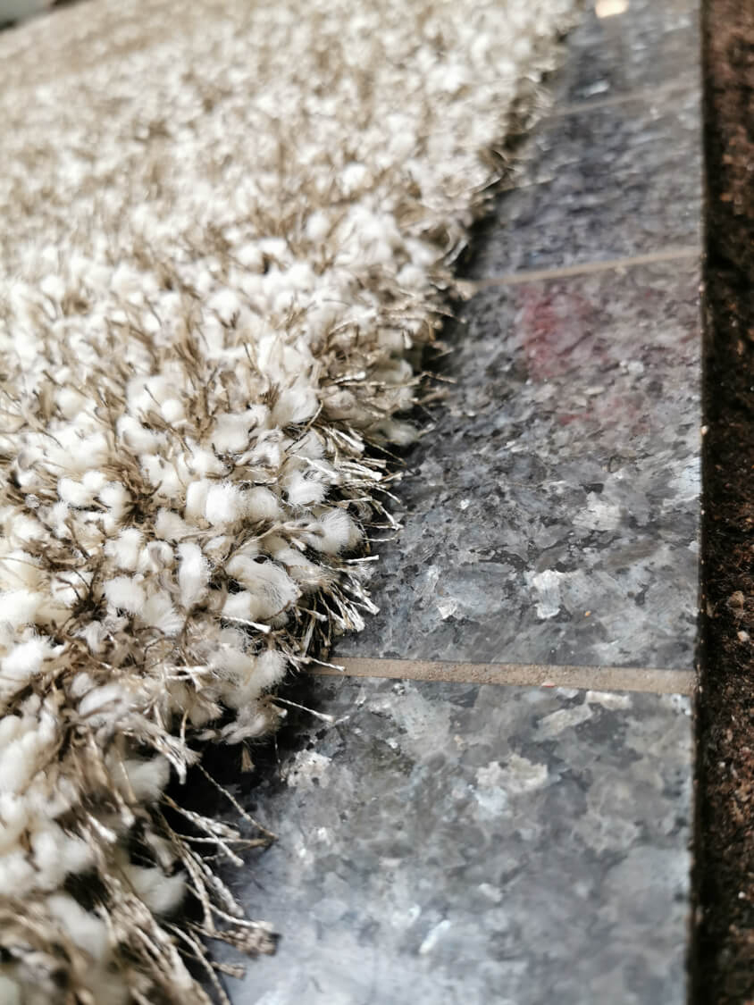 Limelight 22001-6600