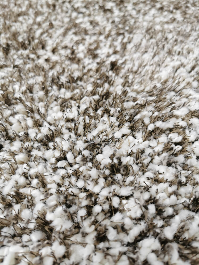 Limelight 22001-6600