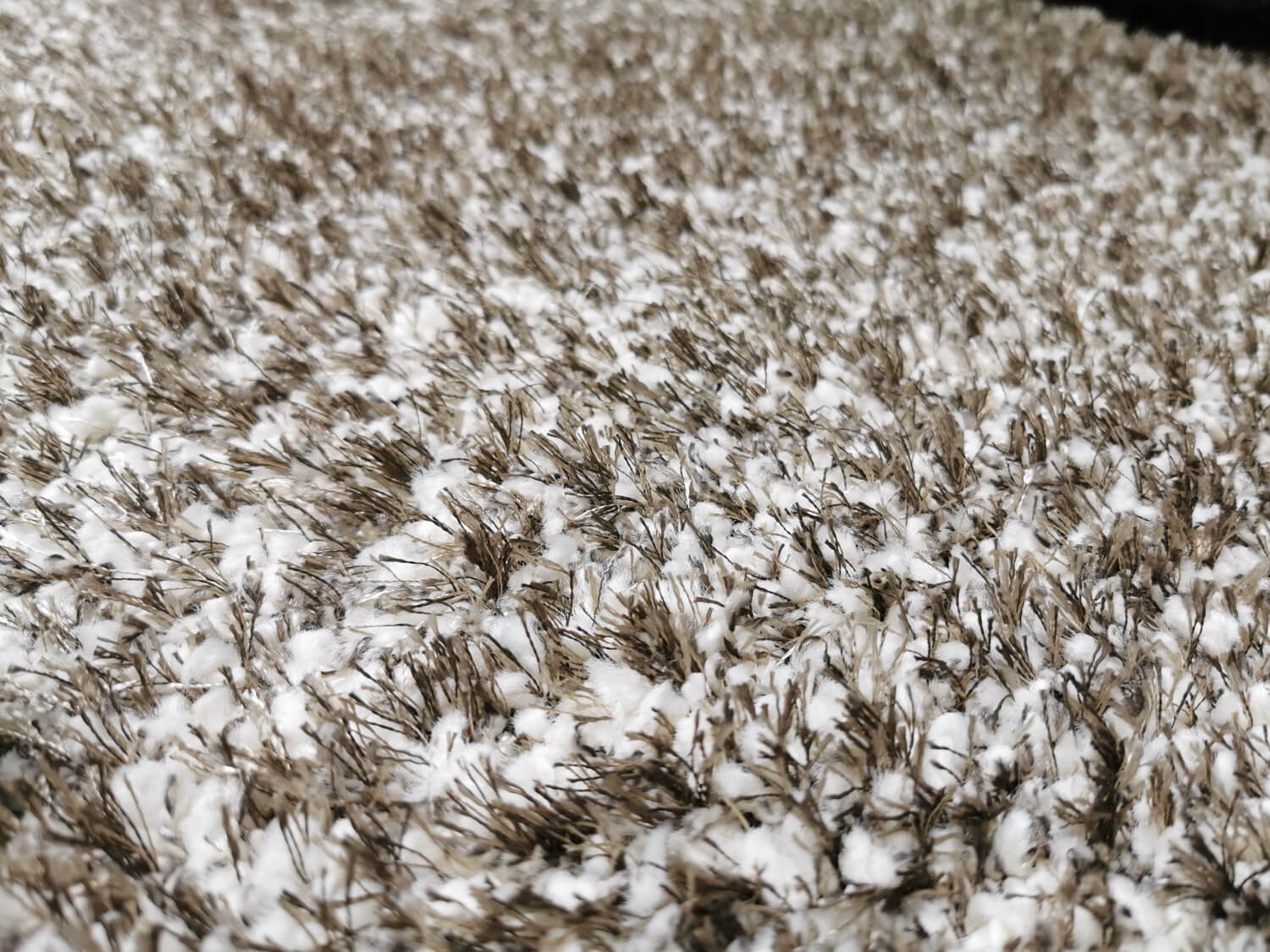 Limelight 22001-6600