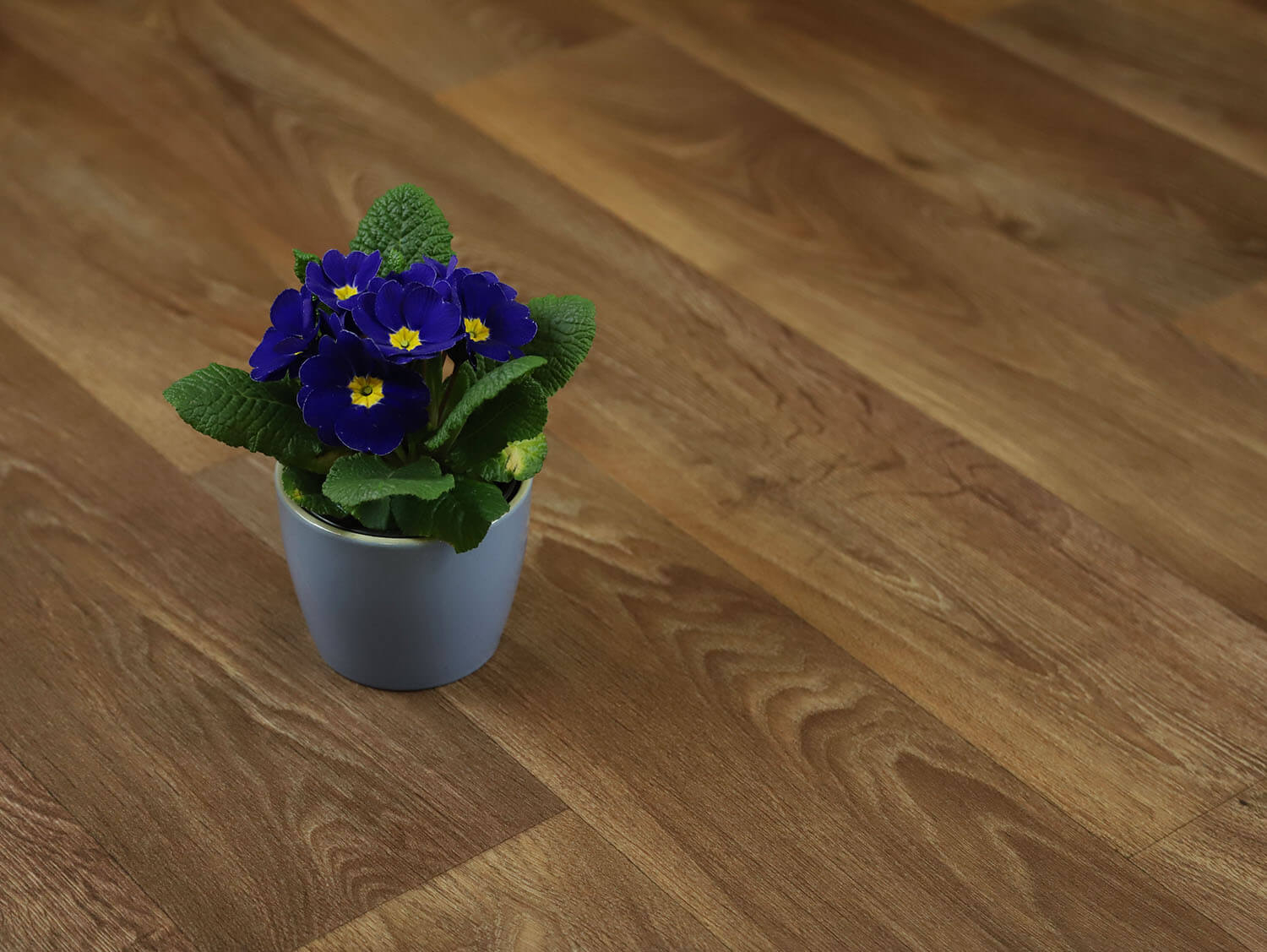 Comfytex Toronto 558