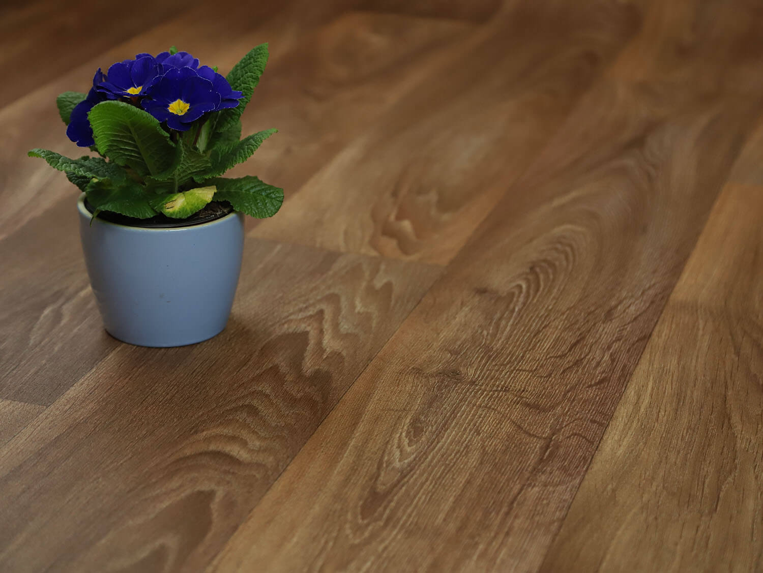 Comfytex Toronto 558