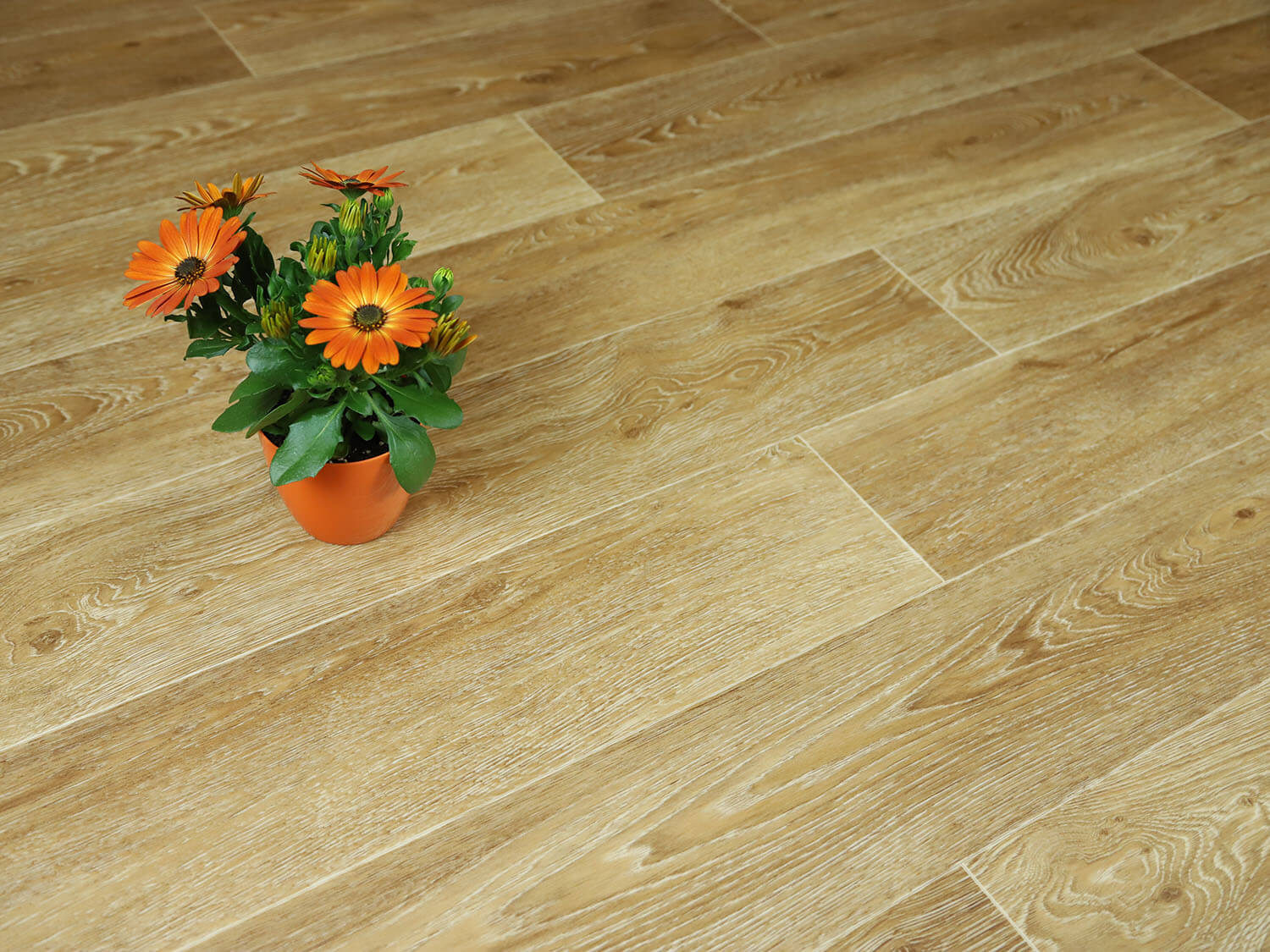 Textra Chaparral 536