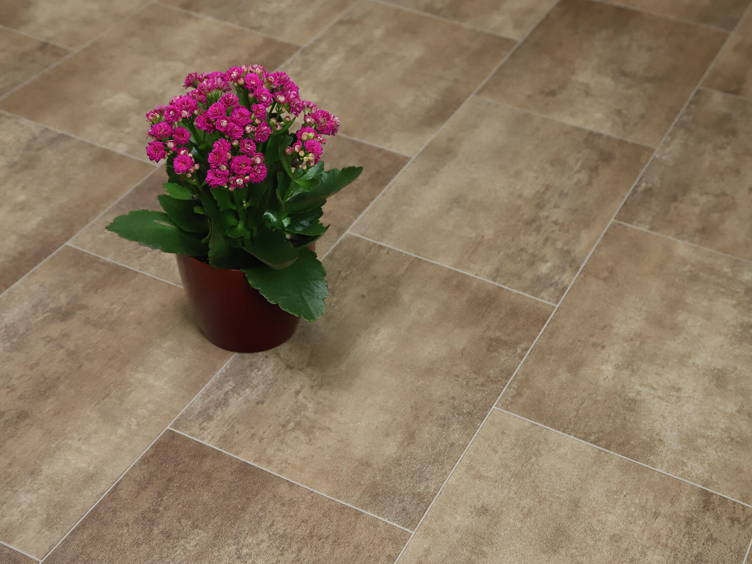 Comfytex Barcelona 593