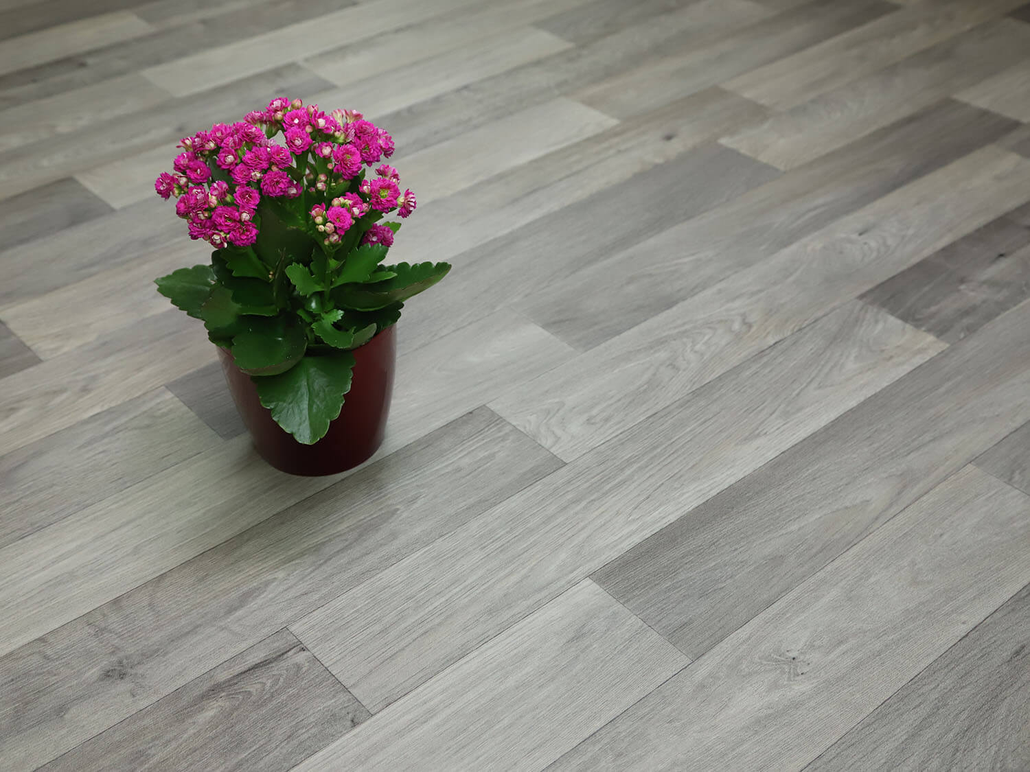 Comfytex Camargue 572