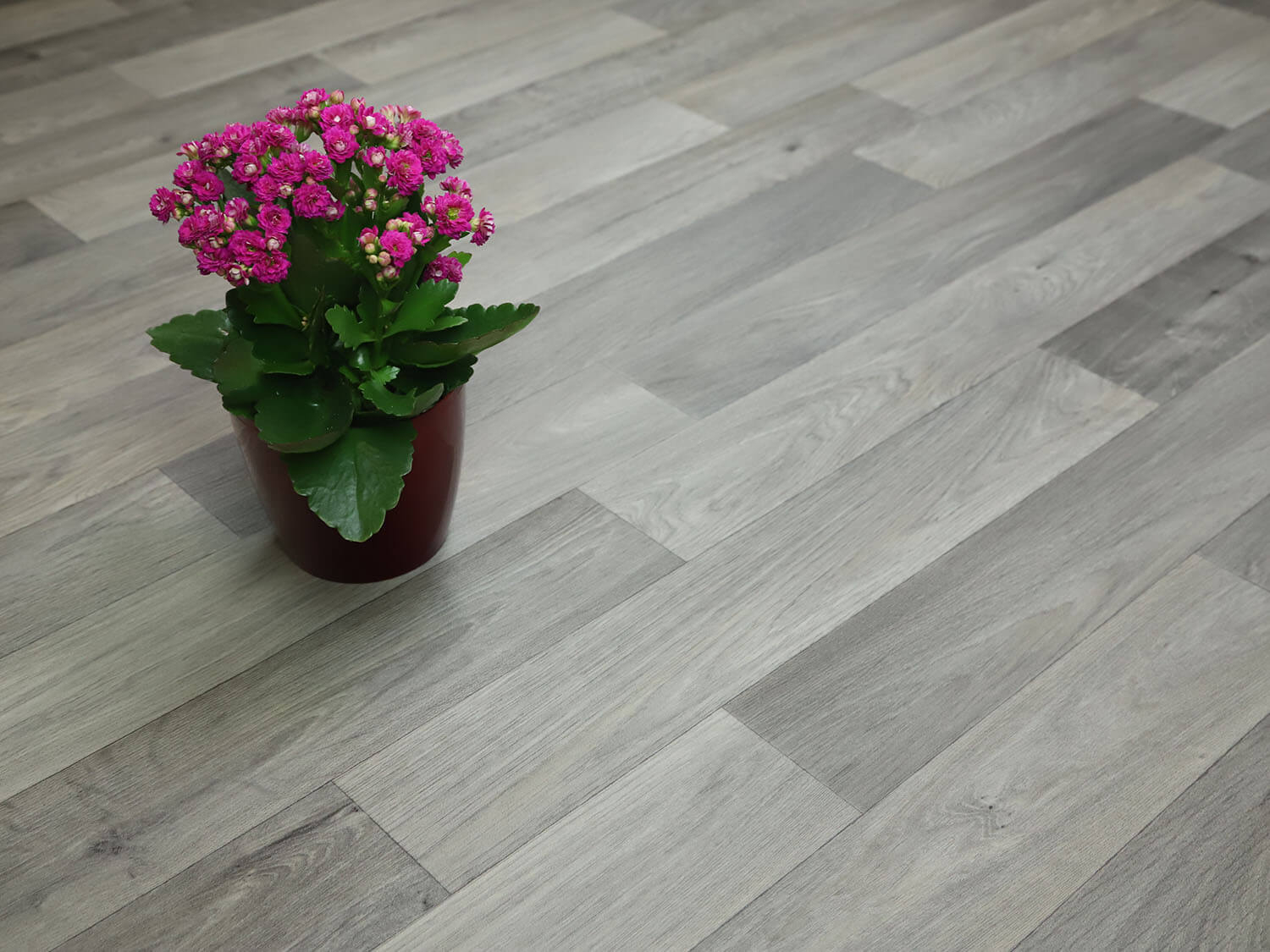 Comfytex Camargue 572