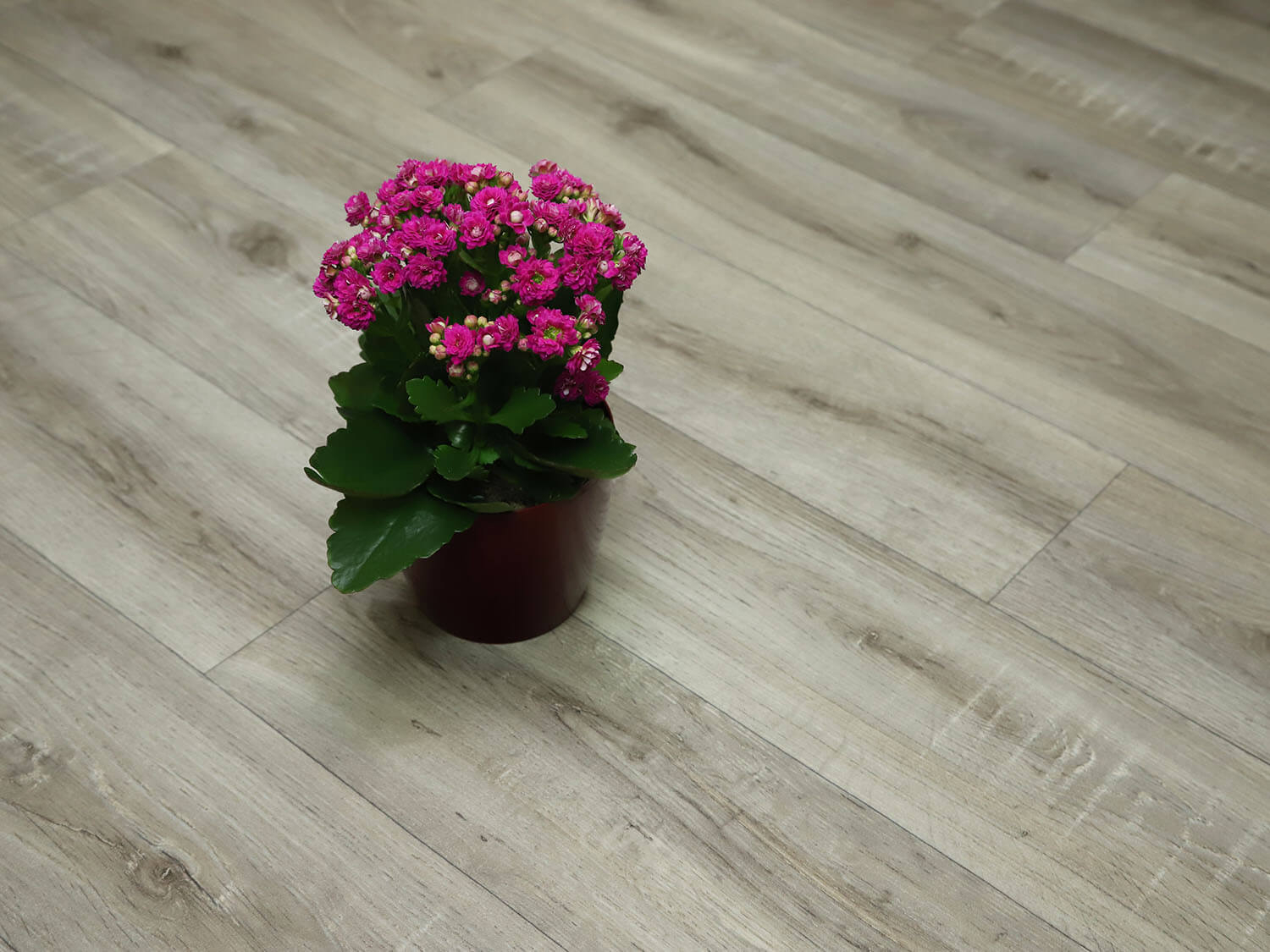 Comfytex Sorbonne 582