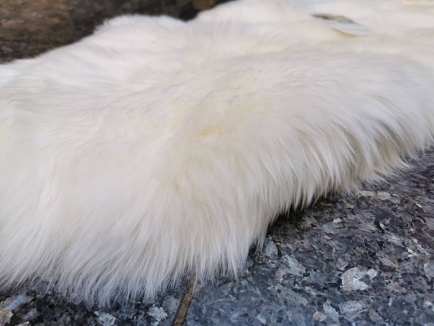 Bowron 1,5 dílný Gold Star