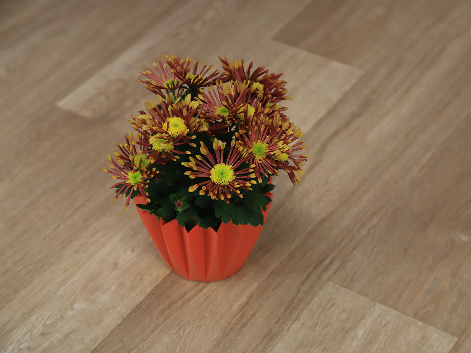 Supratex Pure Oak 7182