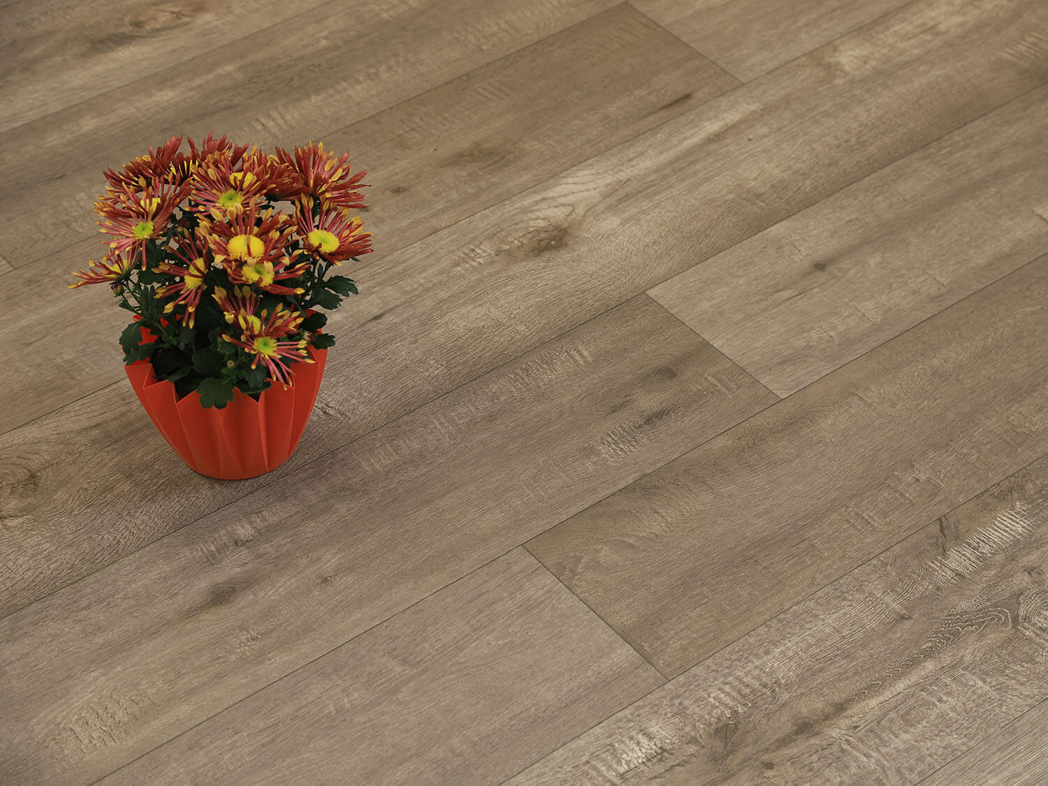 Supratex Tasmanian Oak 970D