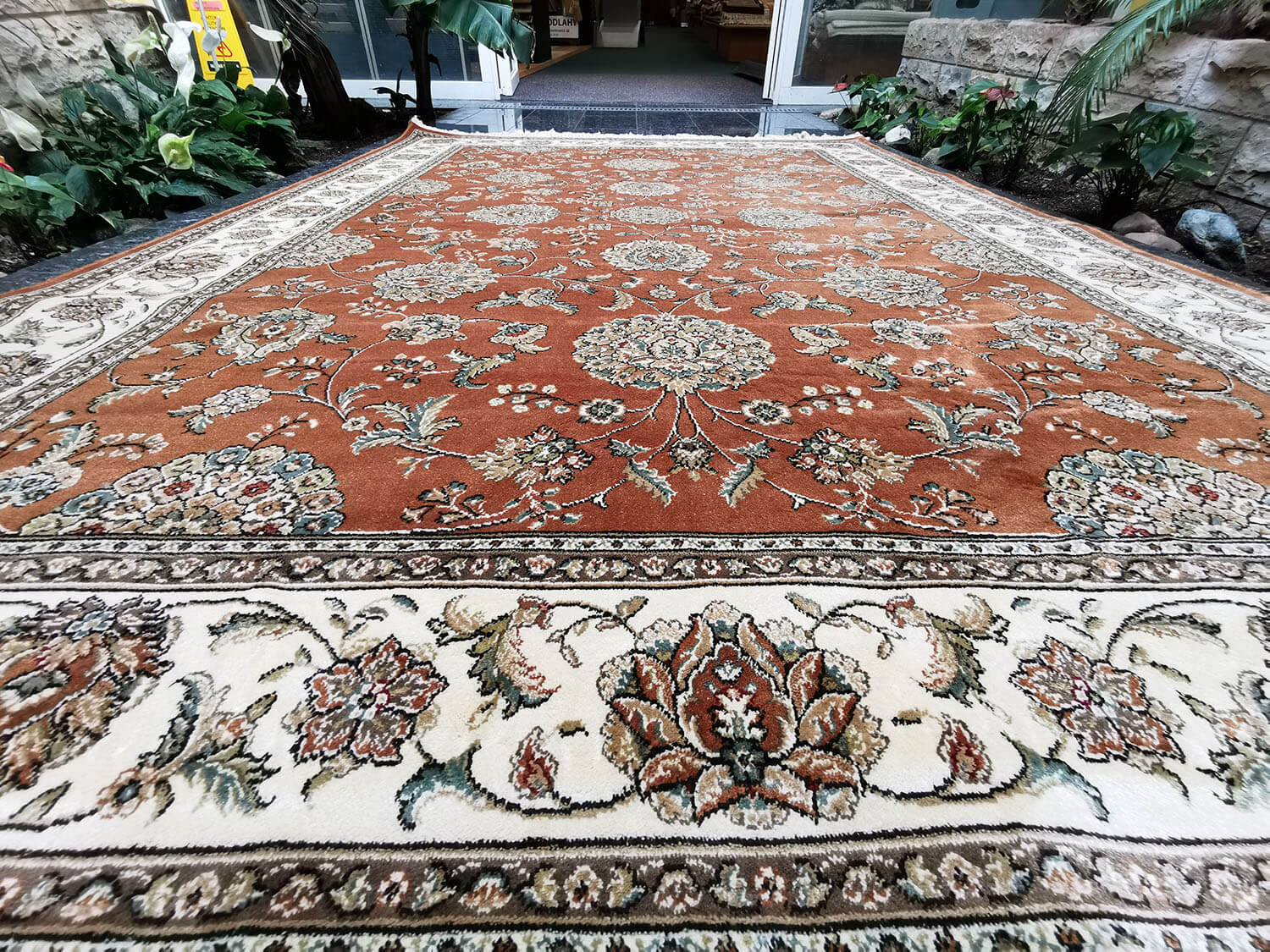 Beluchi 9880806-8262