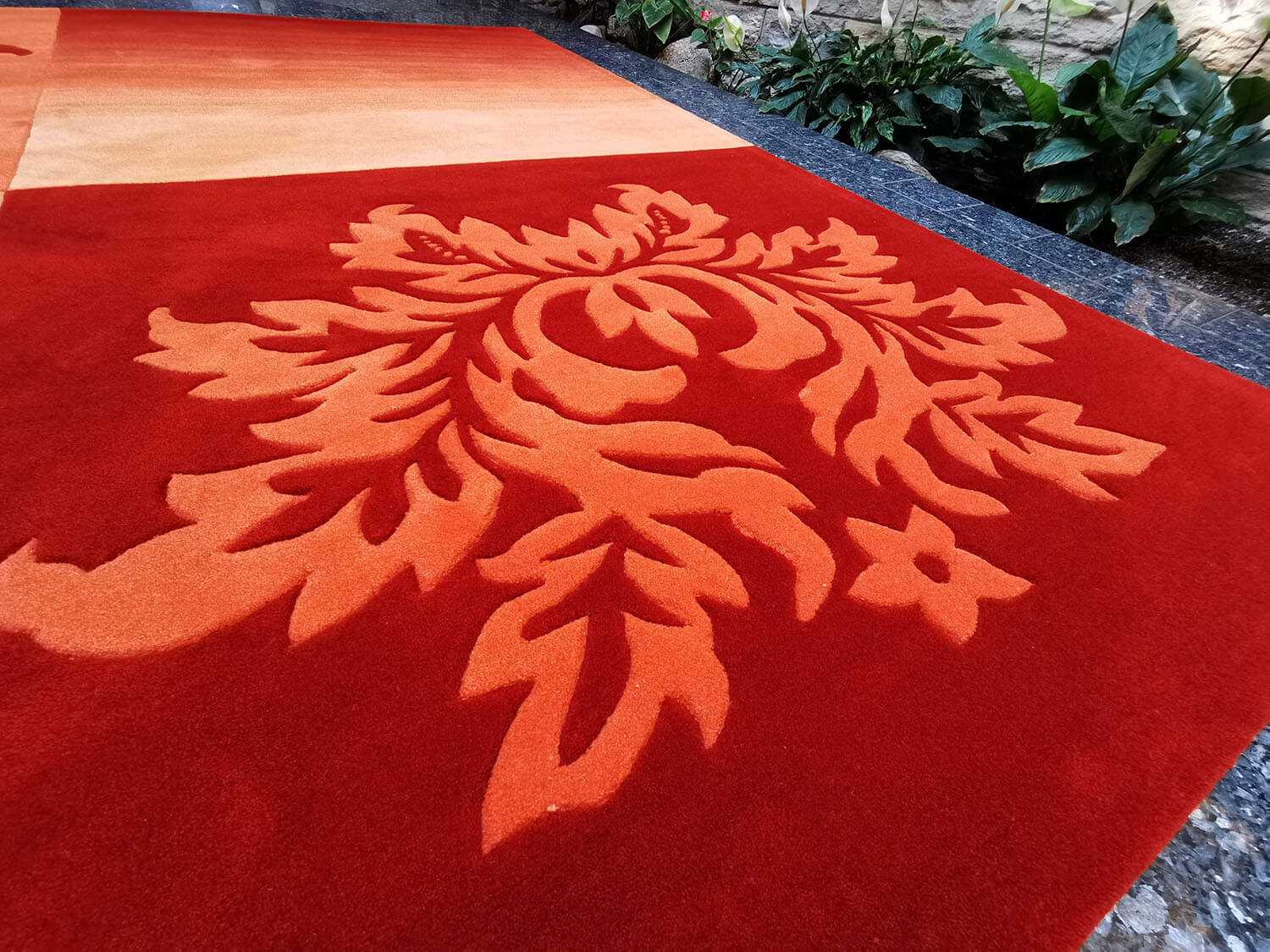 Casablanca 1034-02 terra