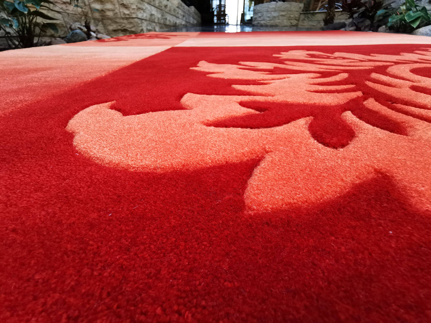 Casablanca 1034-02 terra