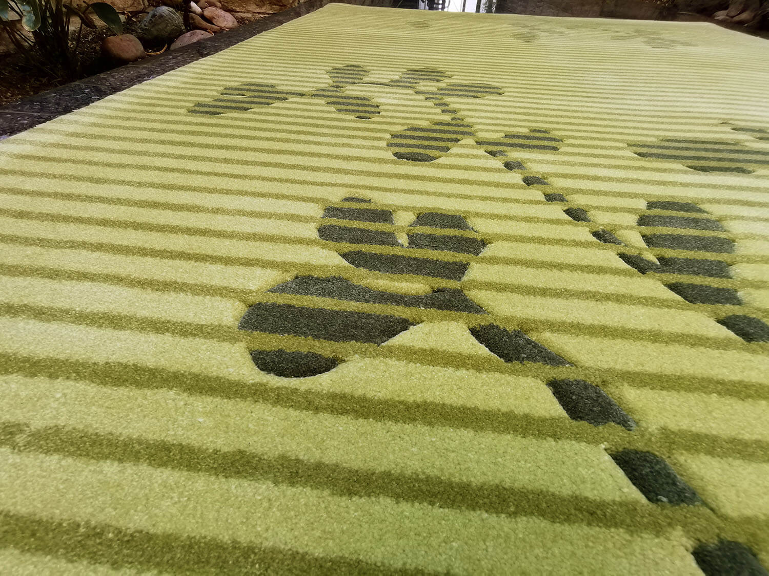 Grassland Esprit 1013-01