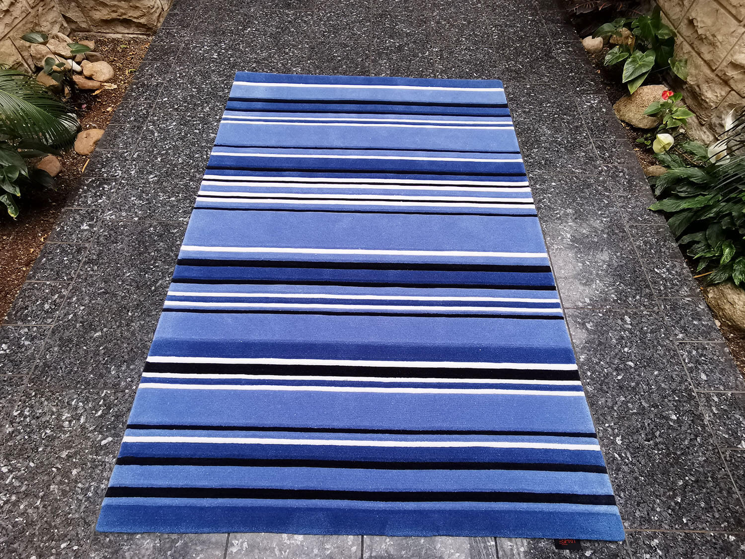 Campus Esprit 1002-01