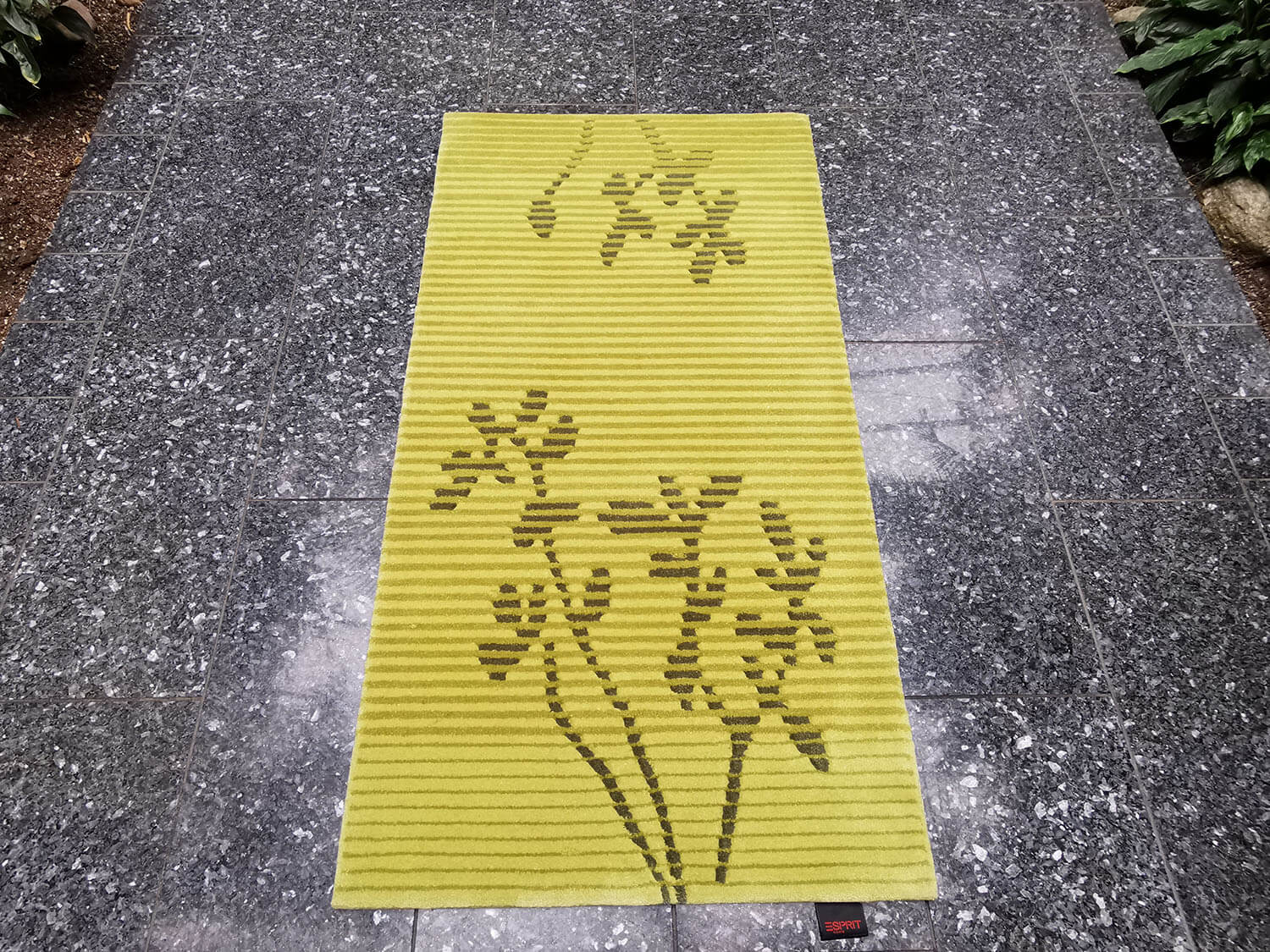 Grassland Esprit 1013-01