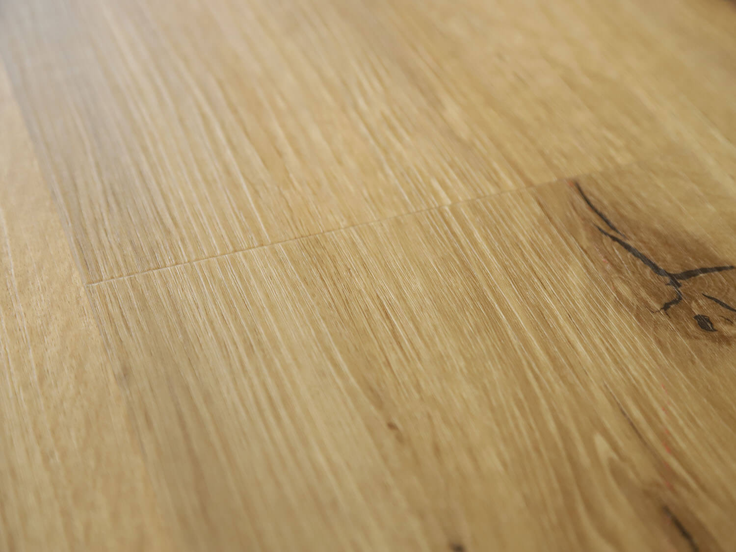 Rigid+ Dub alpský EIR 810165