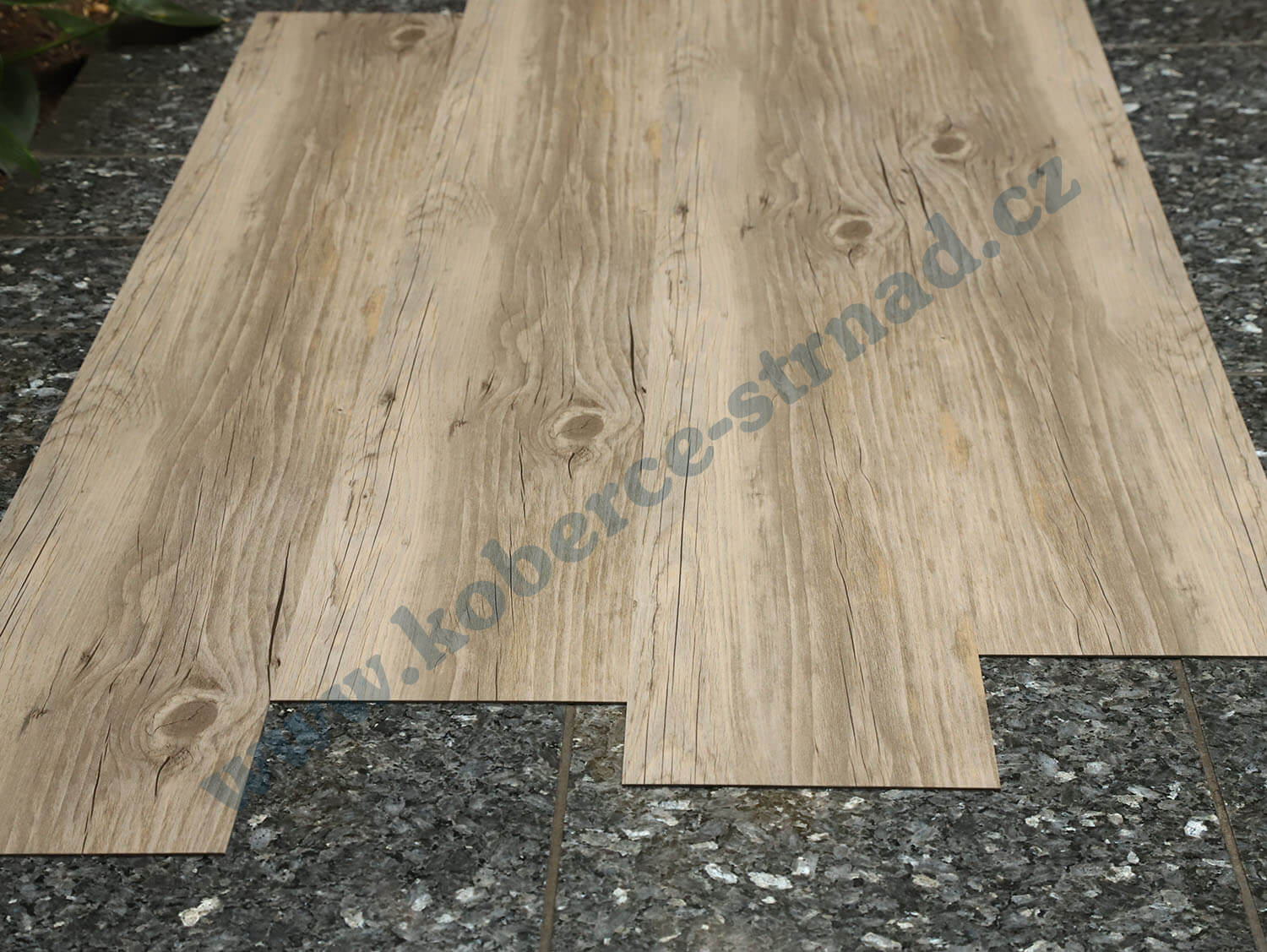 Thermofix 12128-1 Borovice sibiřská