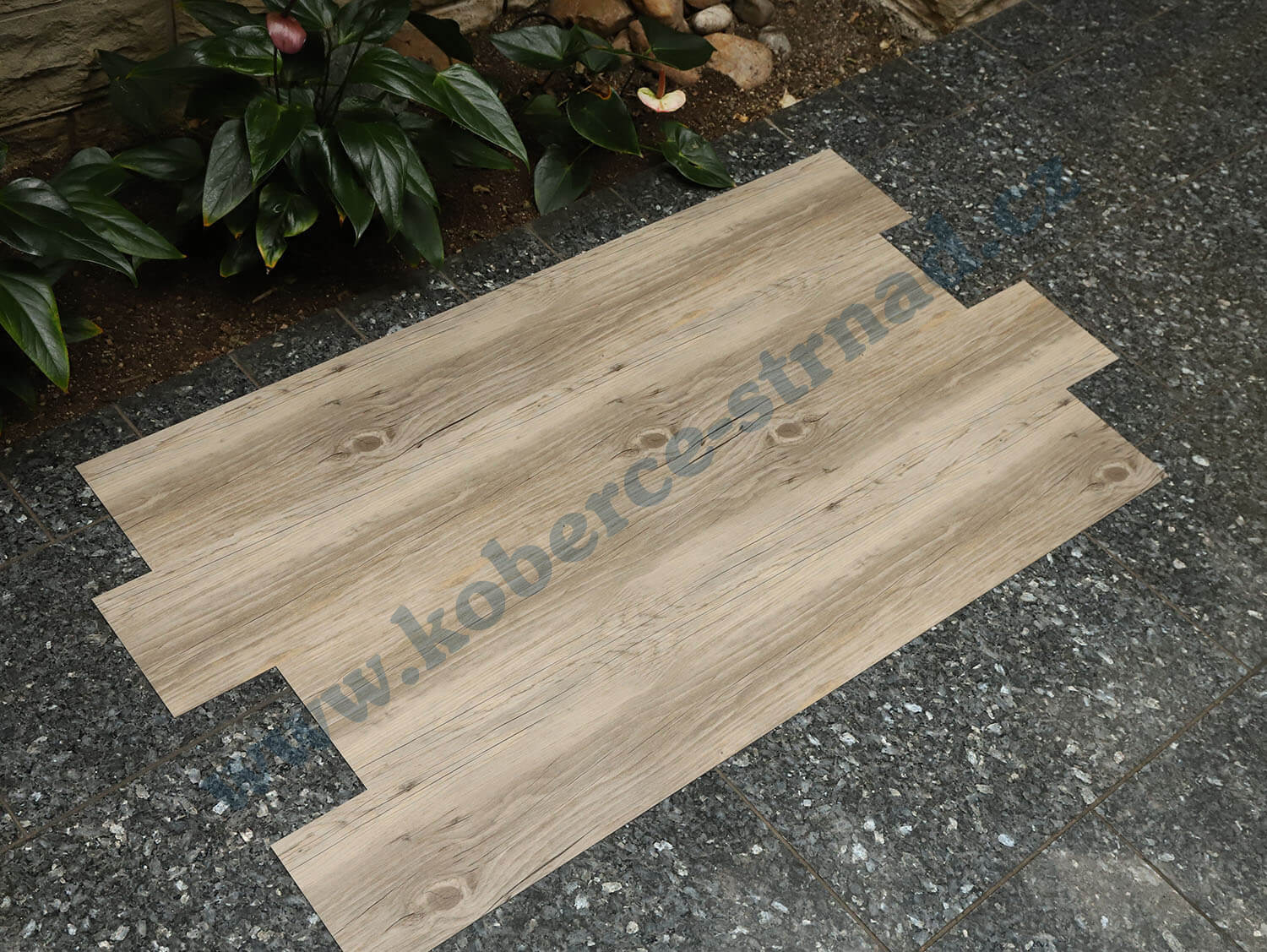 Thermofix 12128-1 Borovice sibiřská