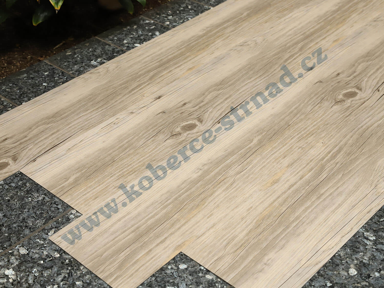 Thermofix 12128-1 Borovice sibiřská