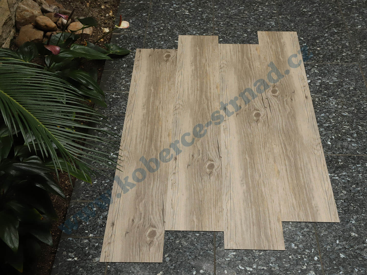 Thermofix 12128-1 Borovice sibiřská