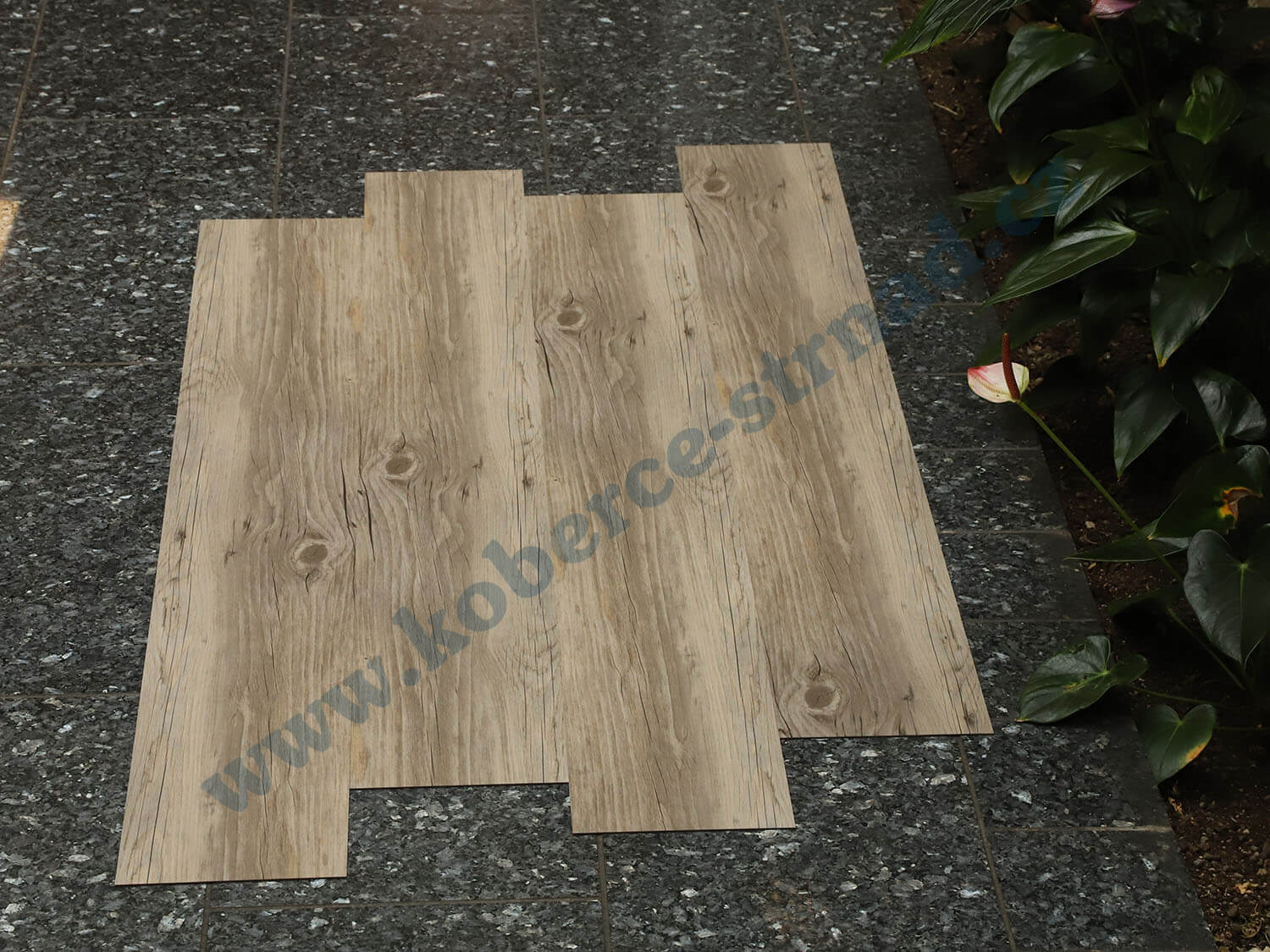 Thermofix 12128-1 Borovice sibiřská