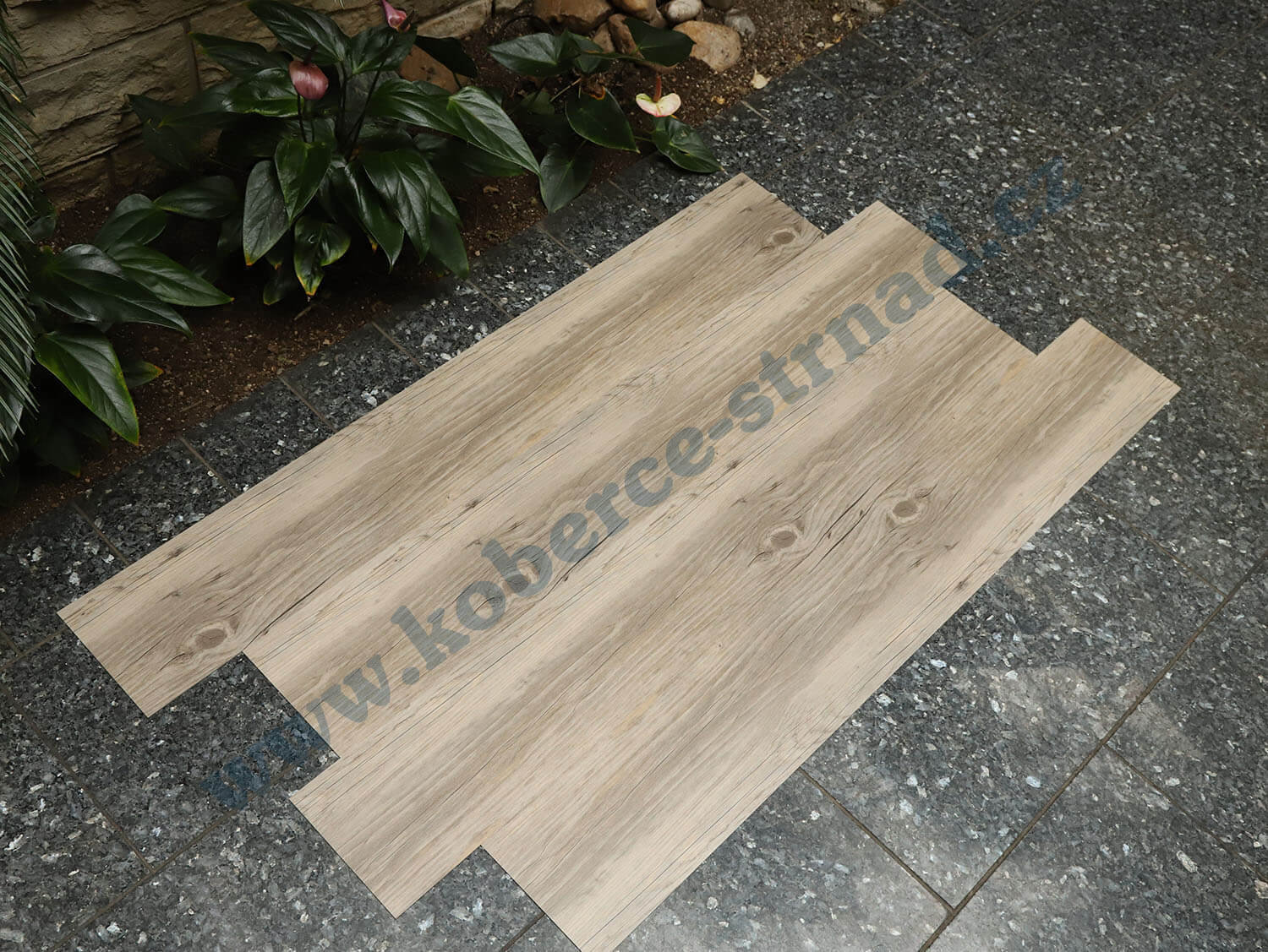 Thermofix 12128-1 Borovice sibiřská