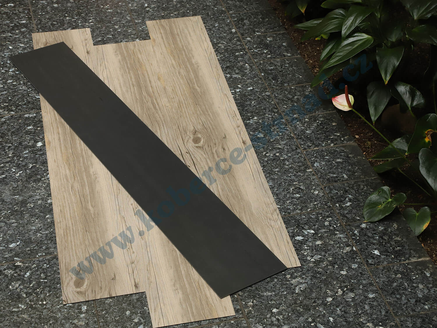 Thermofix 12128-1 Borovice sibiřská