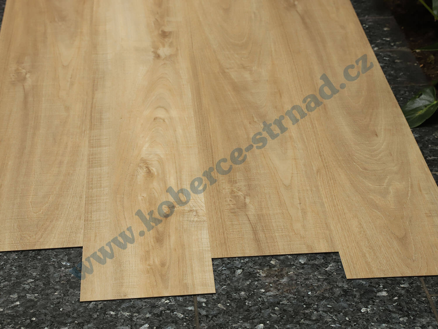 Thermofix 12145-1 Topol kávový