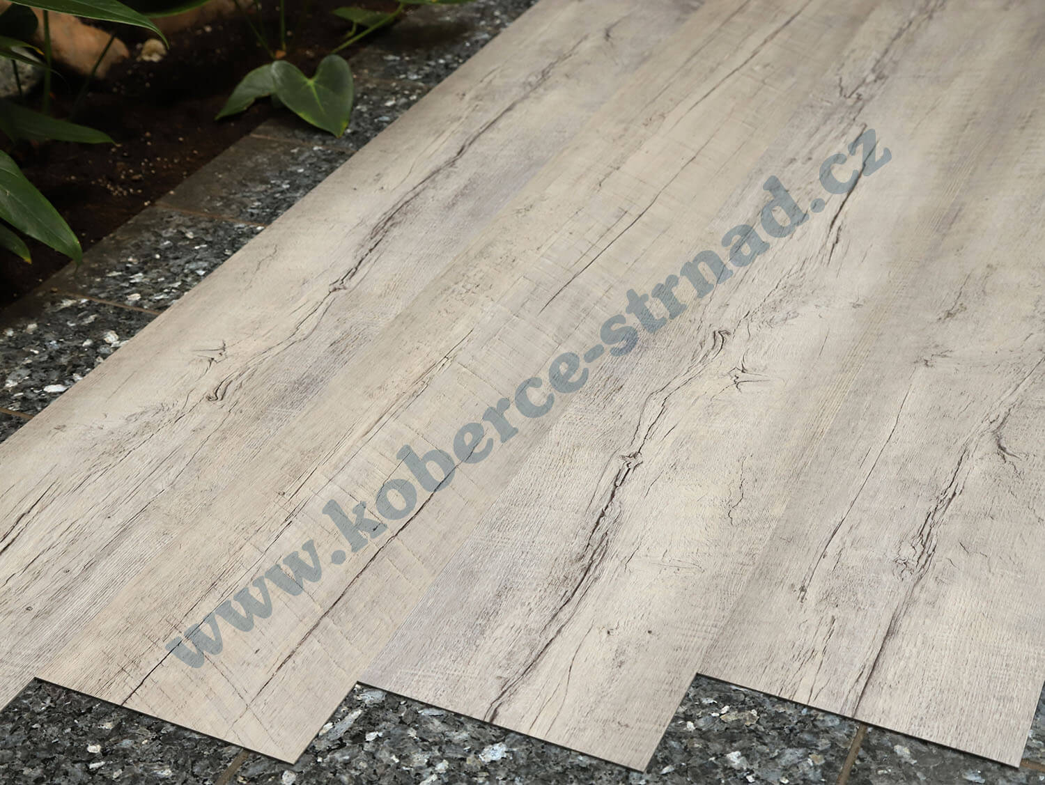 Thermofix 12143-1 Borovice mediterian