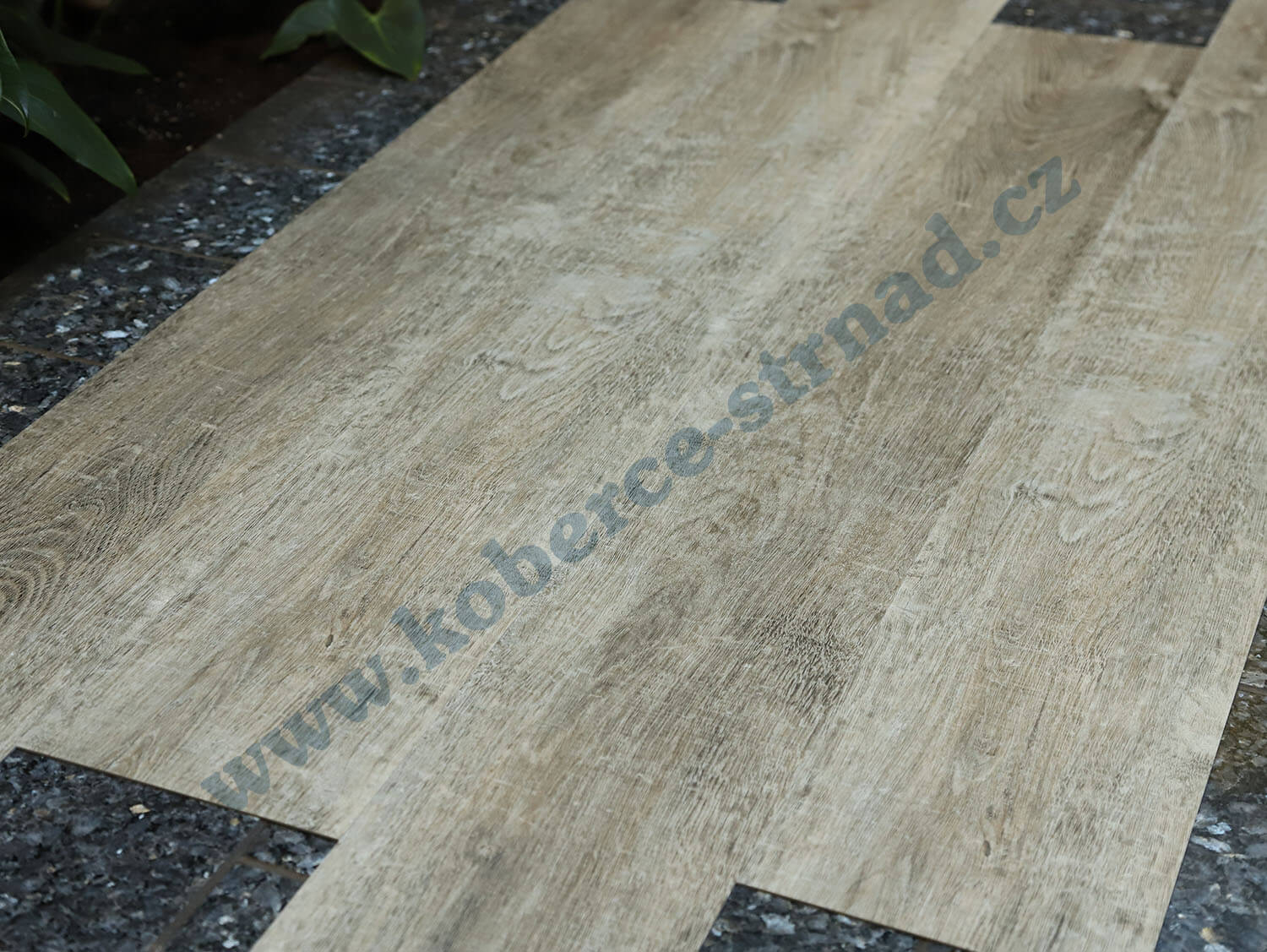 Thermofix 12148-1 Smrk severský