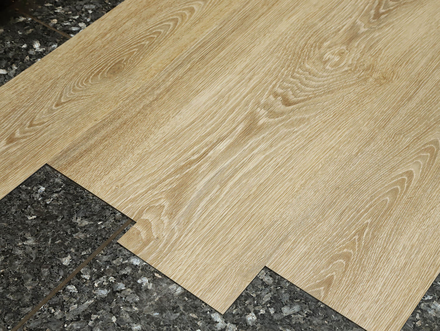 Primero 22837 Evergreen oak