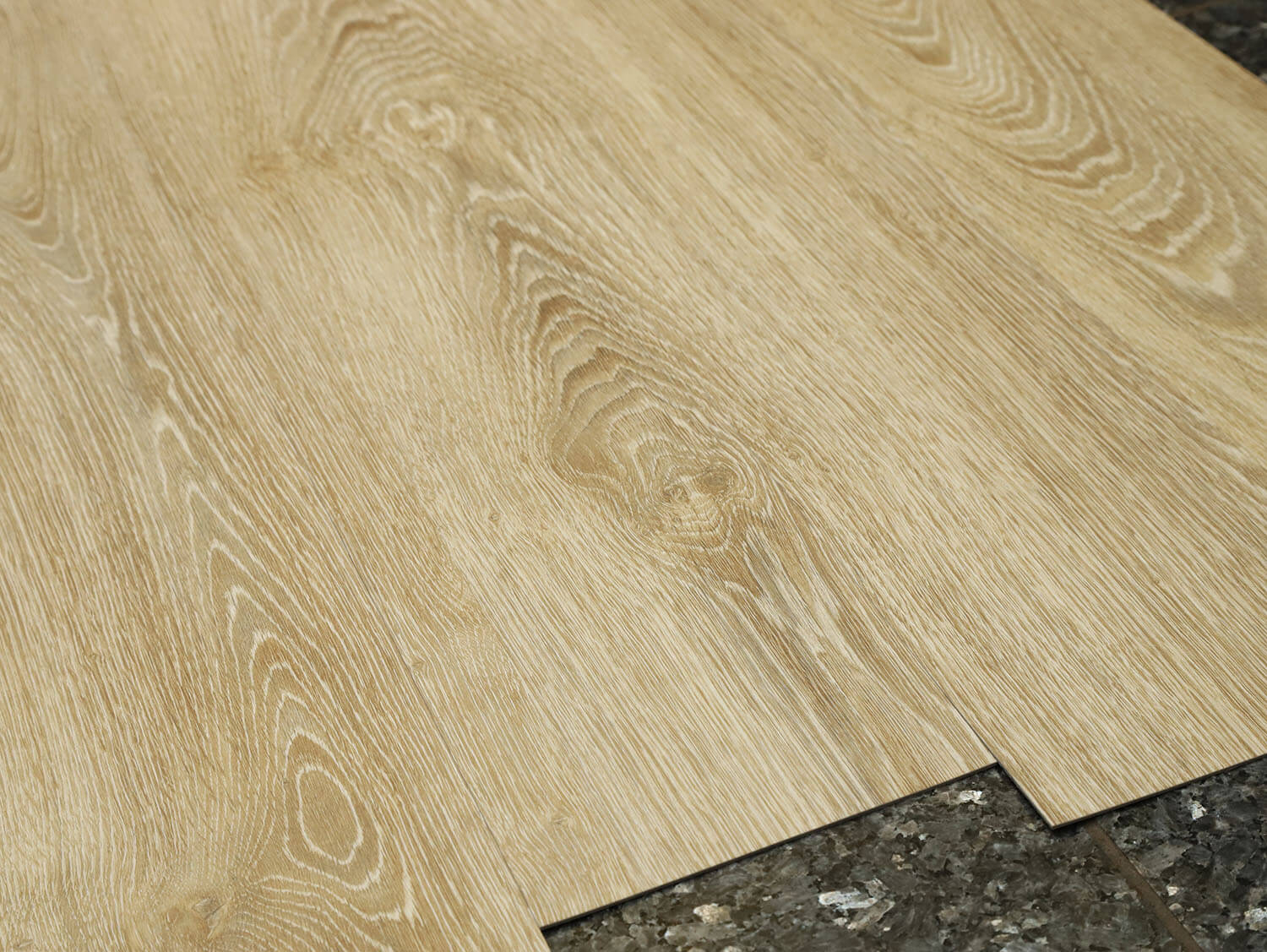 Primero 22837 Evergreen oak