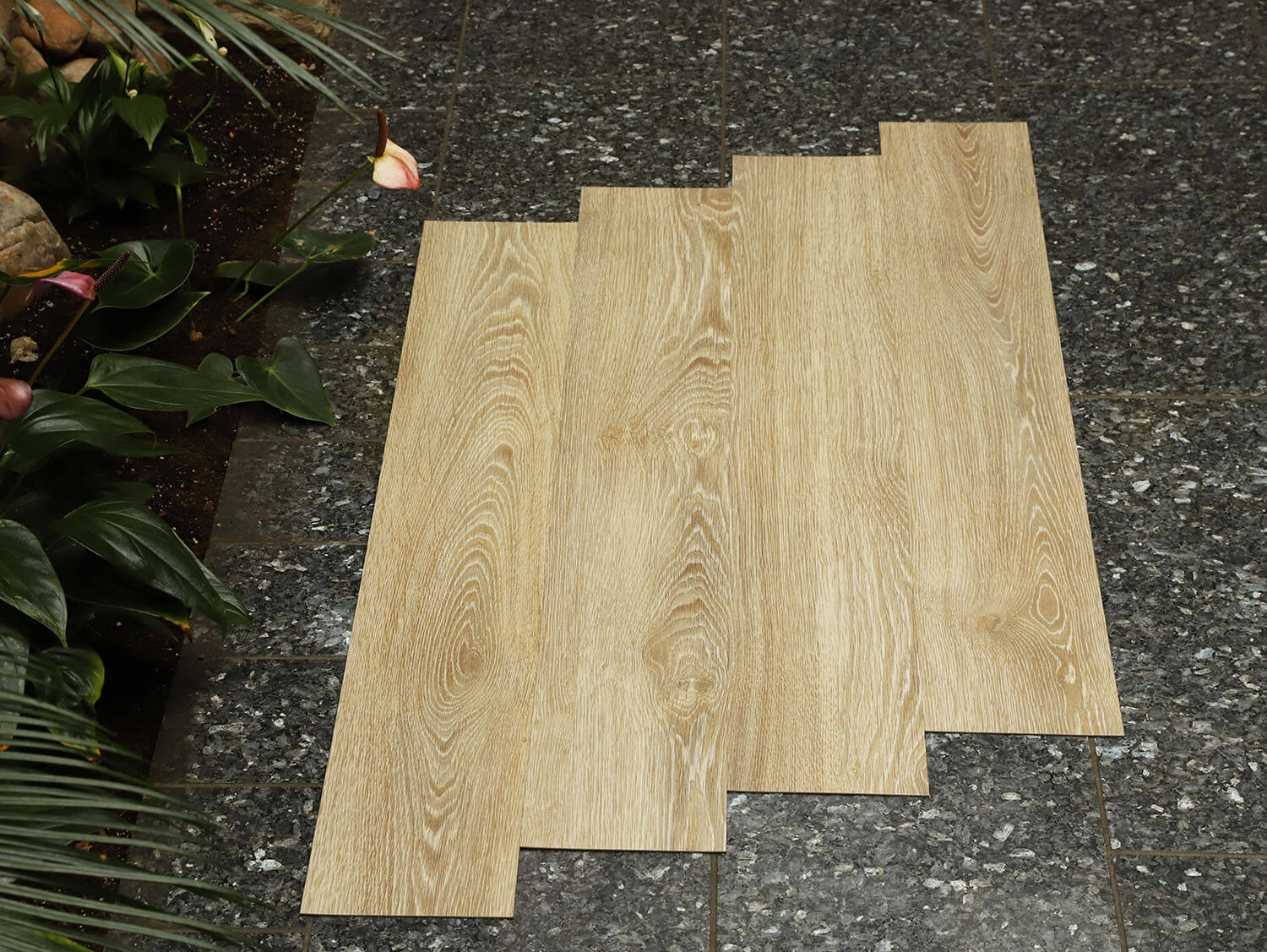 Primero 22837 Evergreen oak