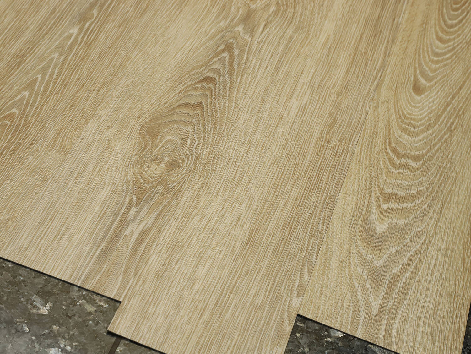 Primero 22837 Evergreen oak