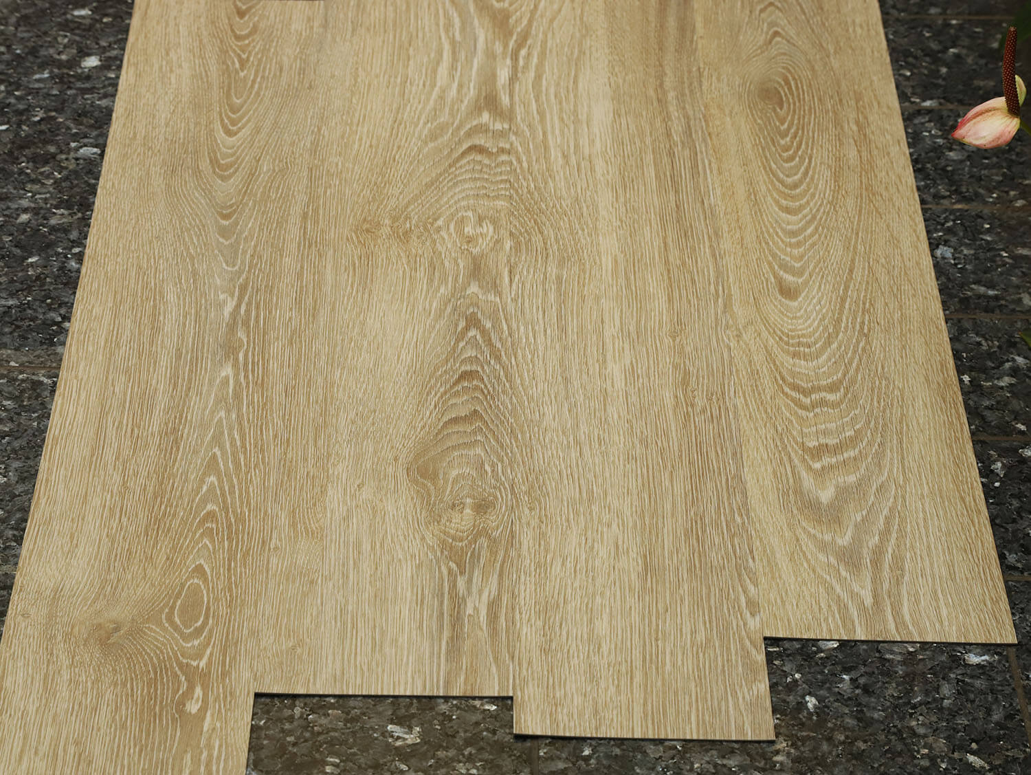 Primero 22837 Evergreen oak