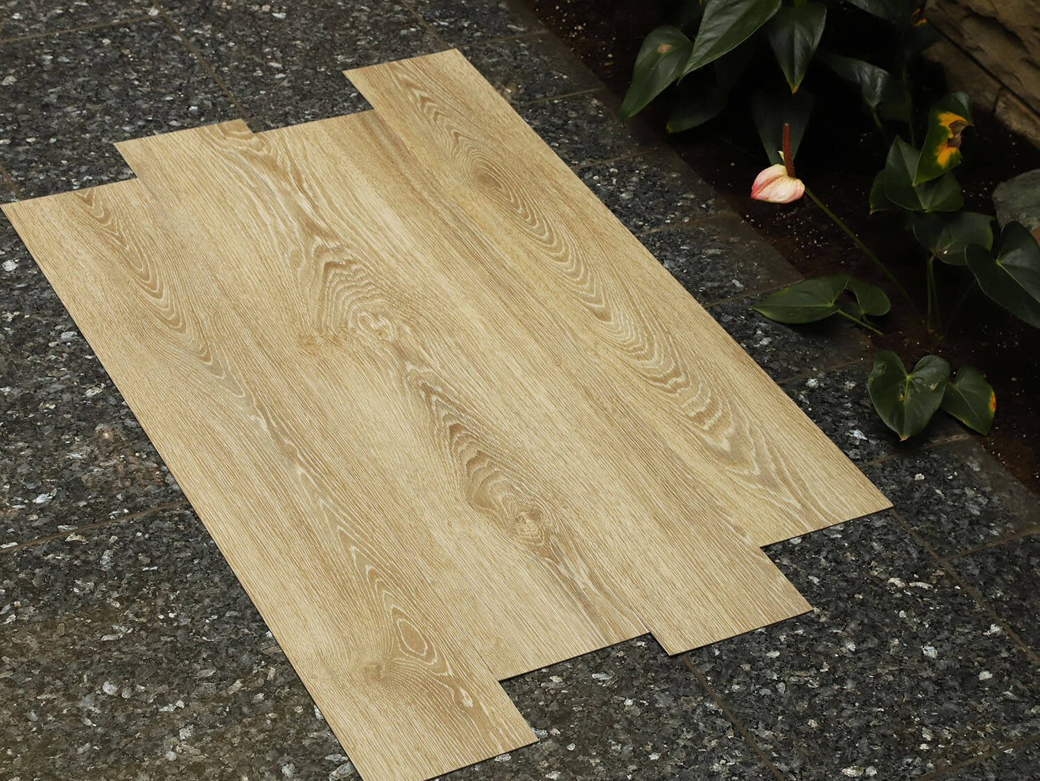 Primero 22837 Evergreen oak