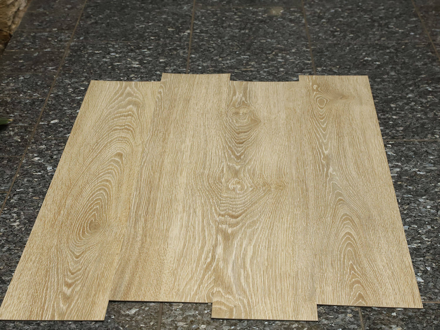 Primero 22837 Evergreen oak