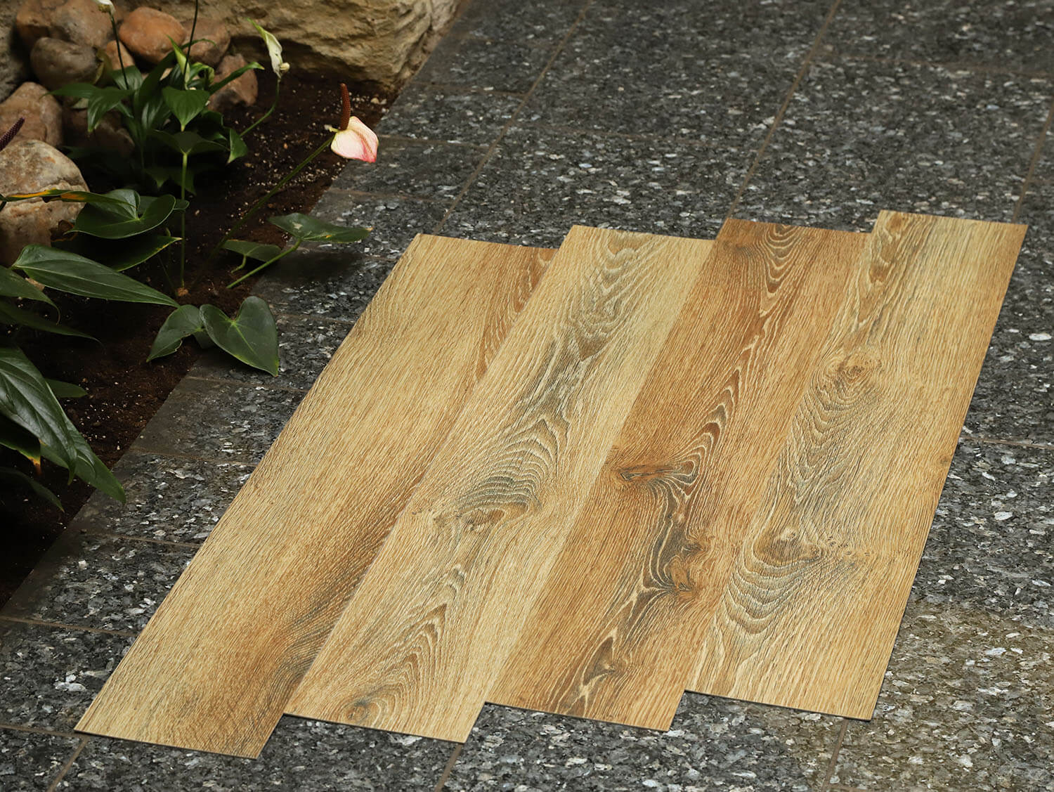 Primero 22857 Evergreen oak