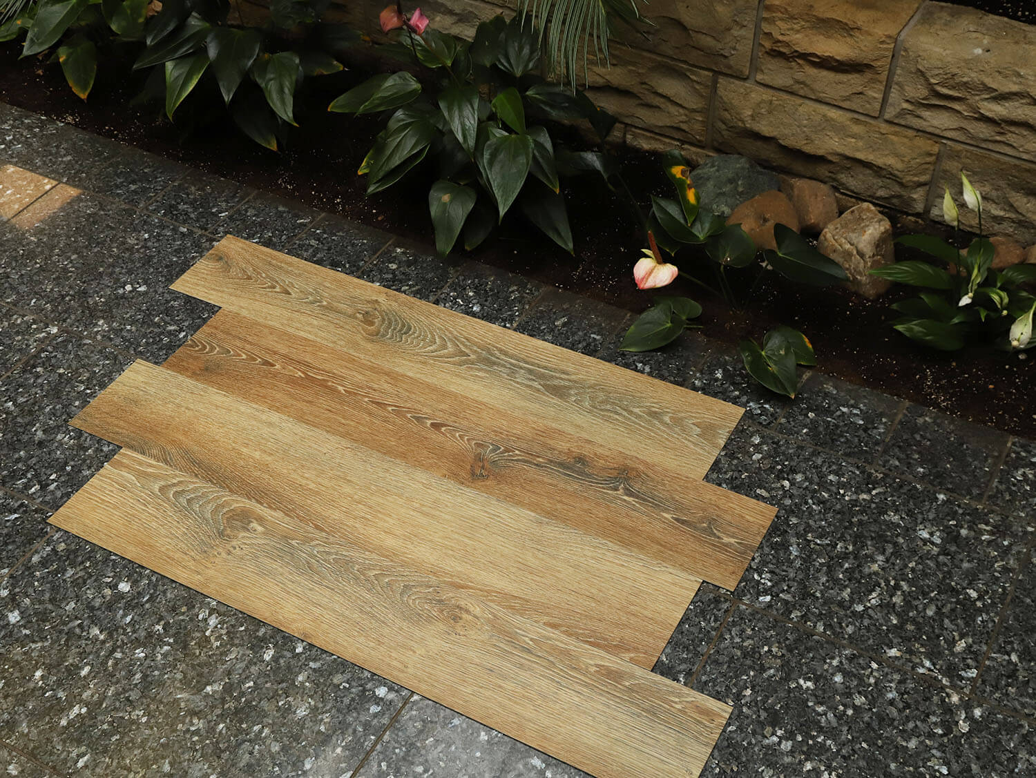 Primero 22857 Evergreen oak