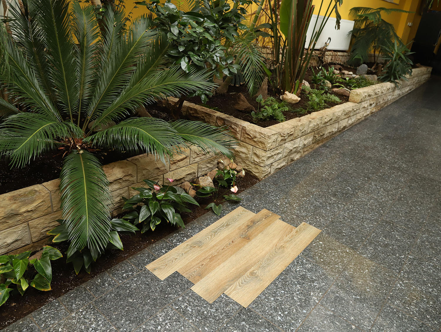 Primero 22857 Evergreen oak