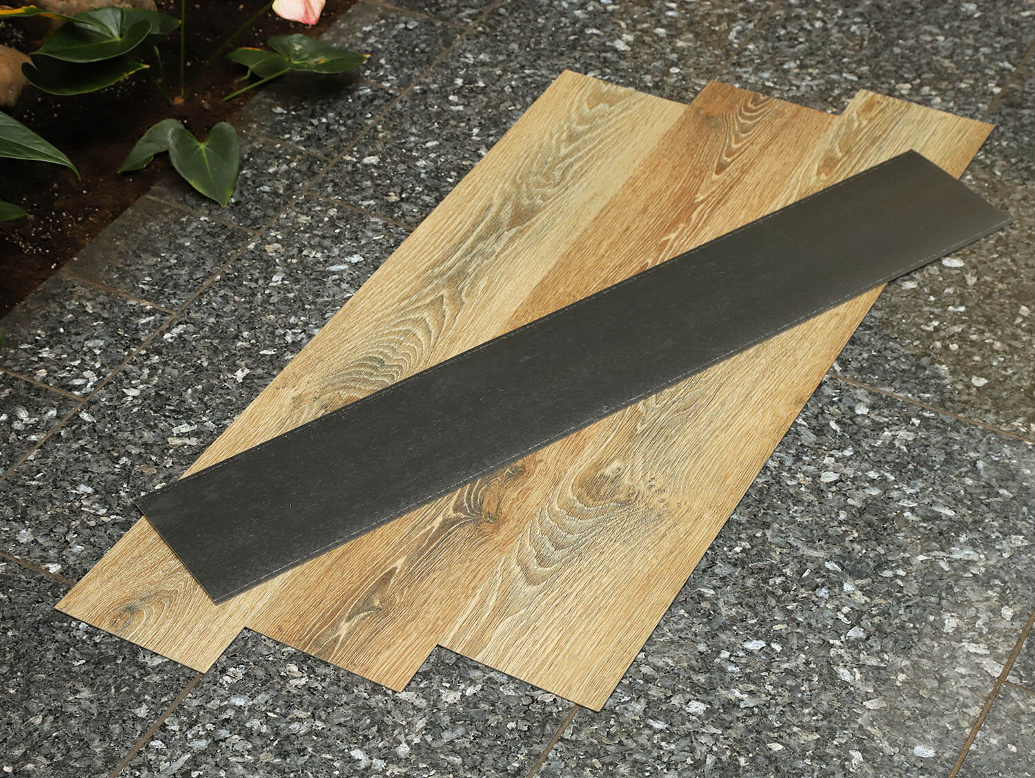 Primero 22857 Evergreen oak