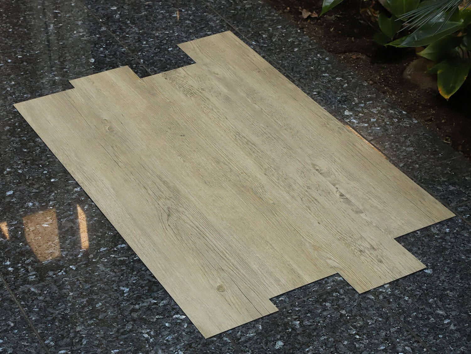 Primero 24249 Colombia pine