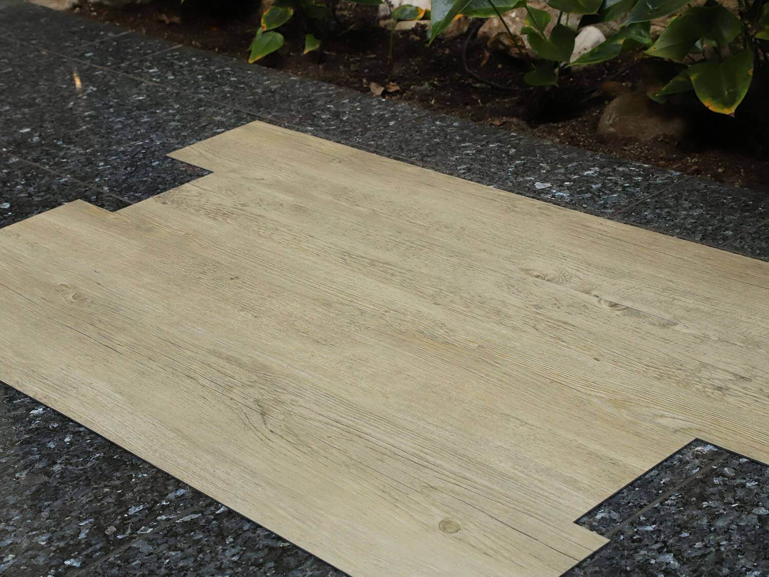 Primero 24249 Colombia pine