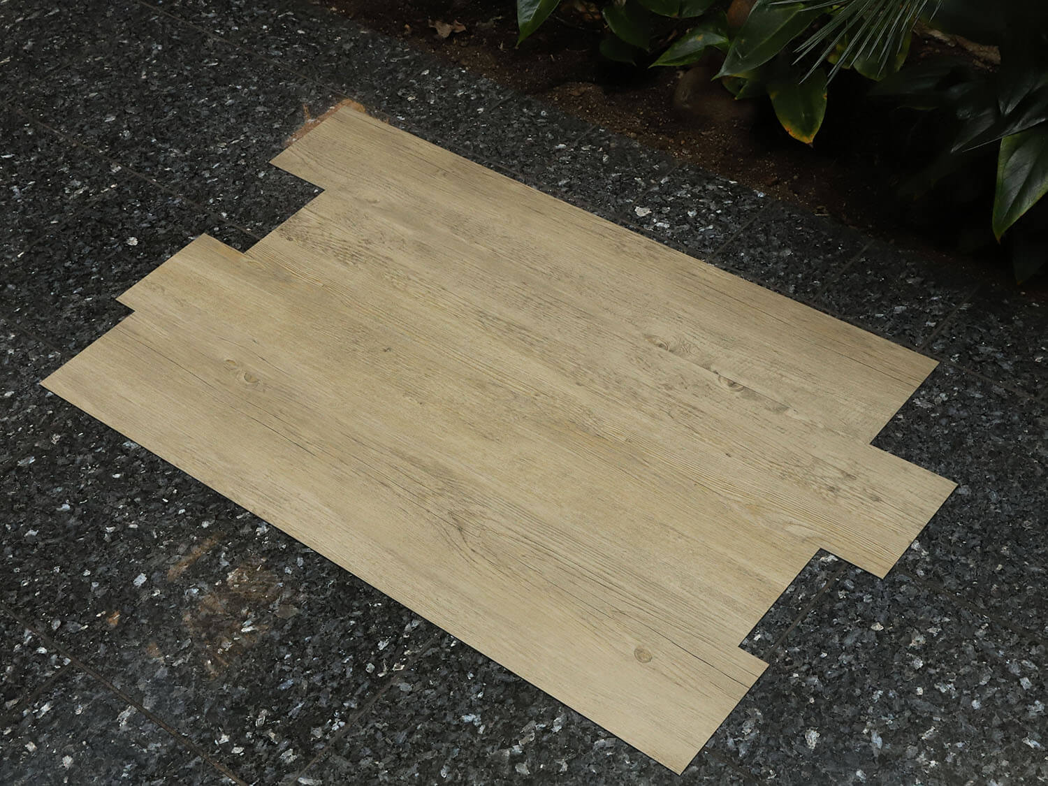 Primero 24249 Colombia pine