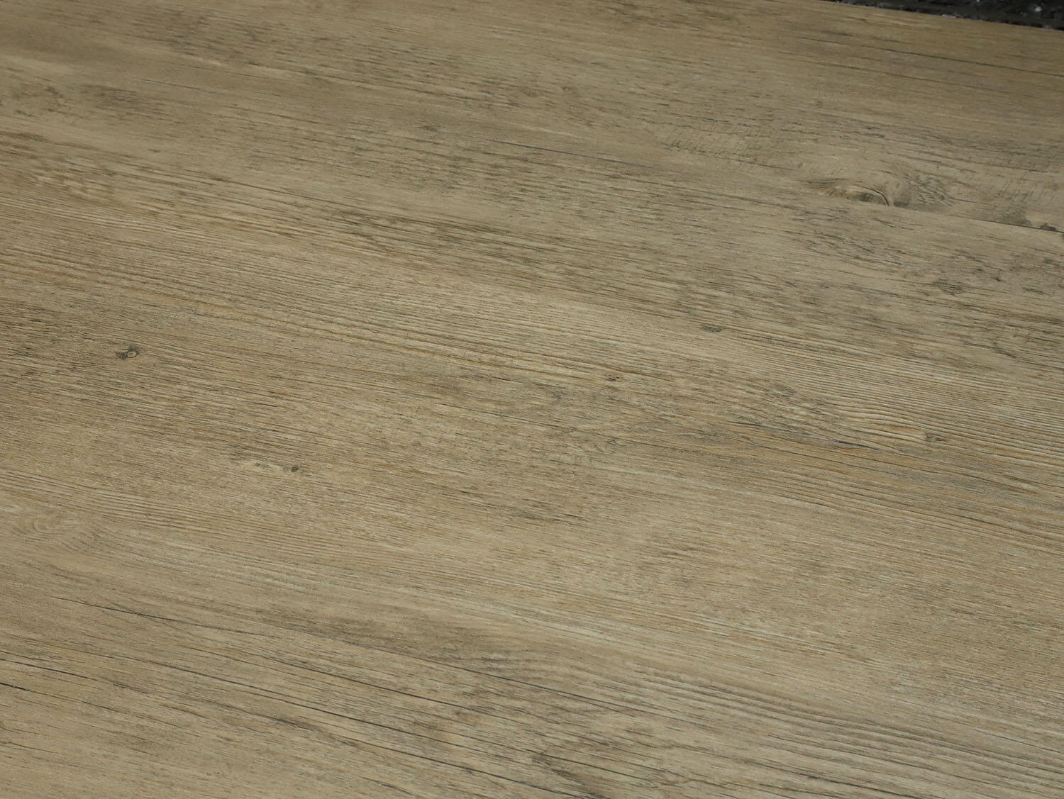 Primero 24249 Colombia pine