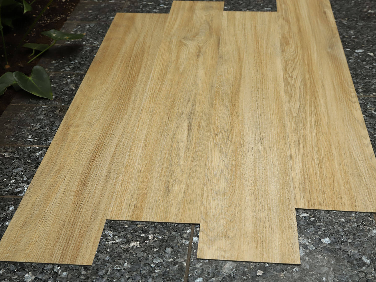 Primero 24270 Casablanca oak