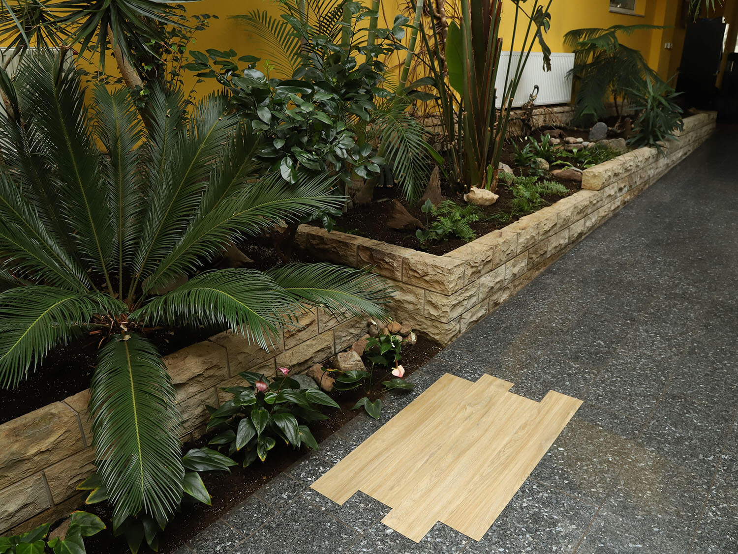 Primero 24270 Casablanca oak