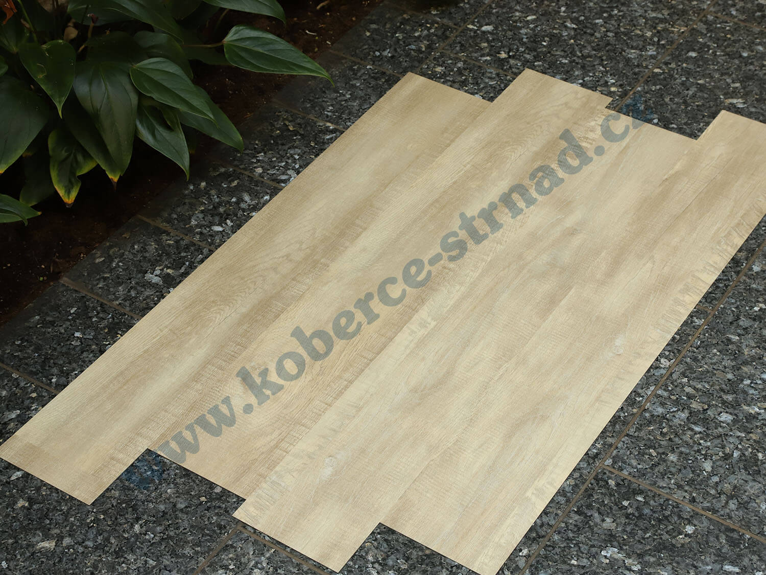 Imperio 29501-1 Dub alžírský