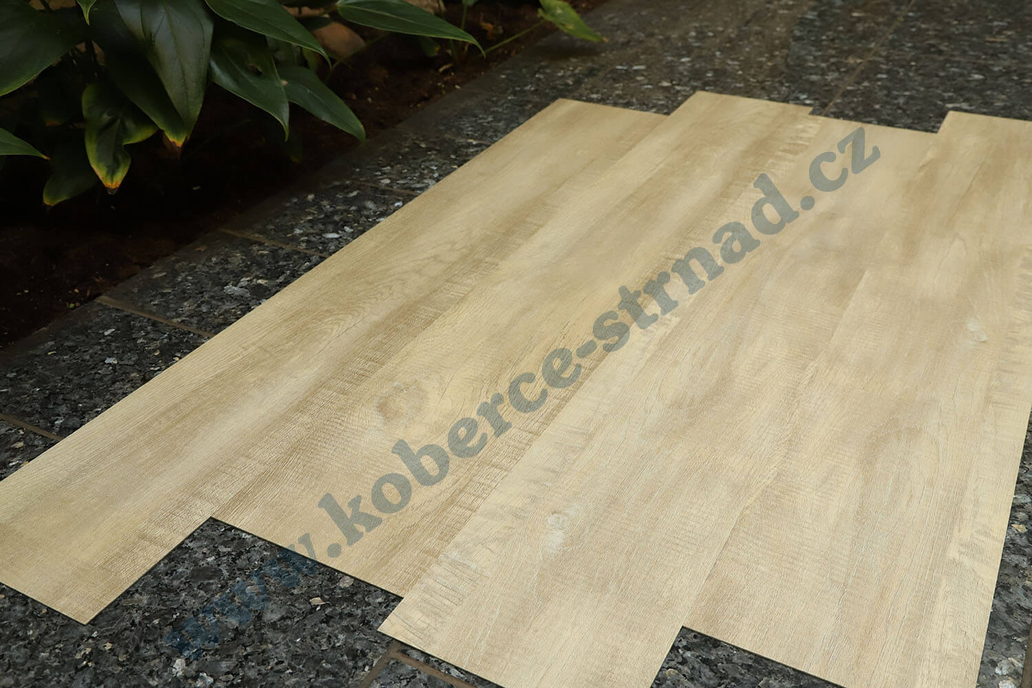 Imperio 29501-1 Dub alžírský